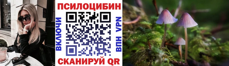 Галлюциногенные грибы Psilocybe  Вольск 
