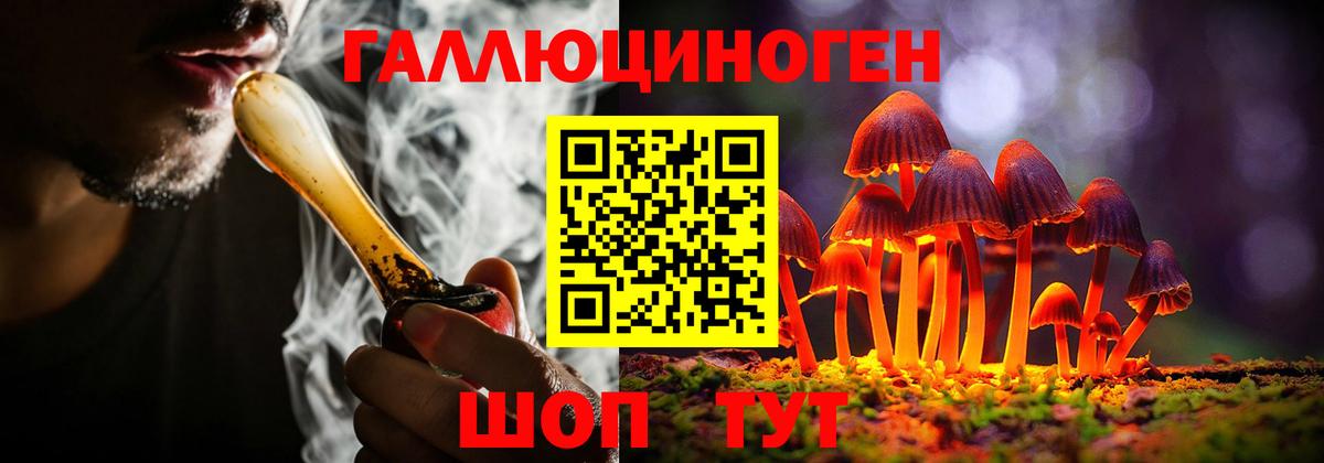 Вольск  Псилоцибиновые грибы MAGIC MUSHROOMS  Псилоцибиновые грибы MAGIC MUSHROOMS  Вход с VPN 